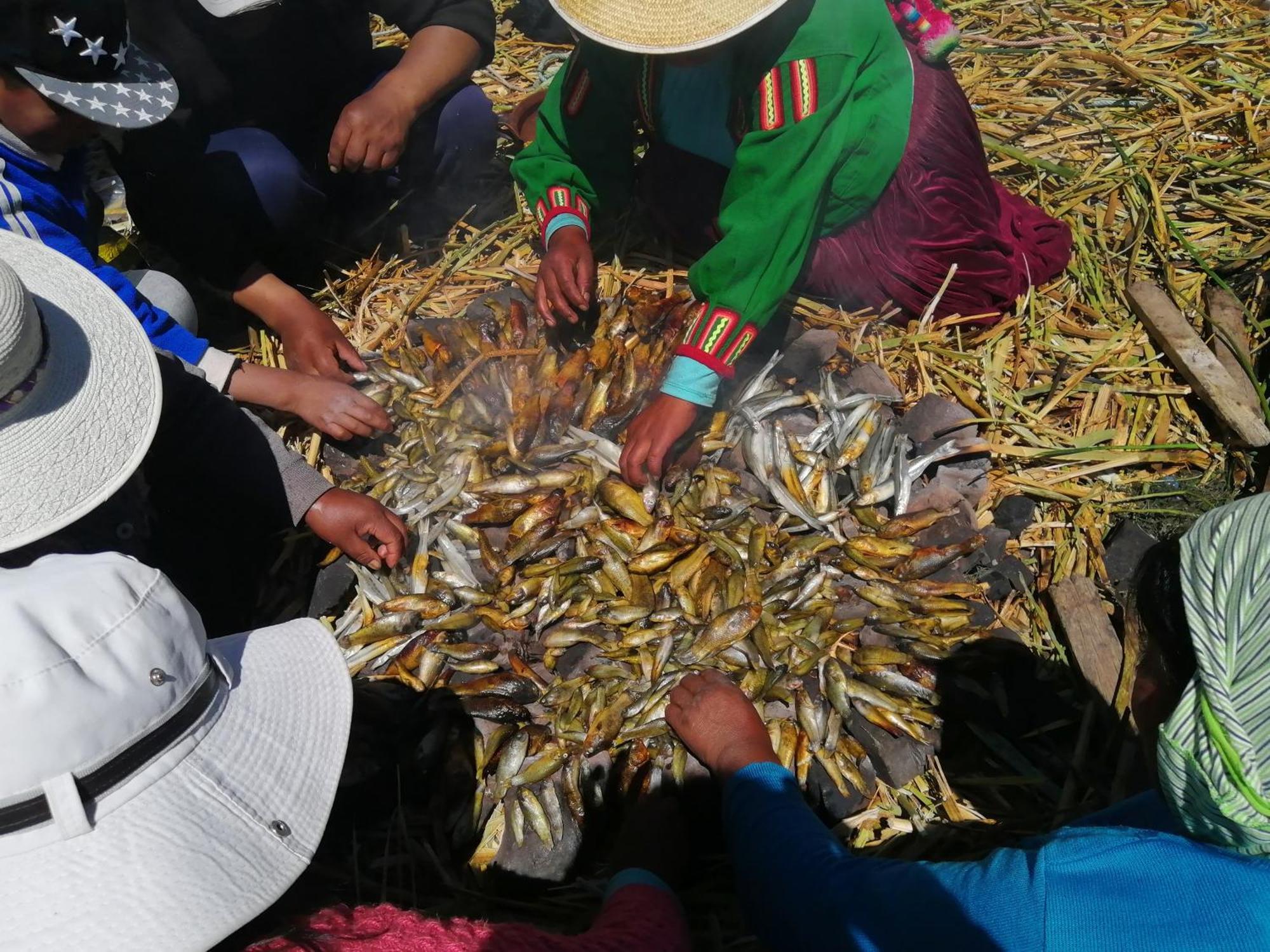Urosfood & Titiqaqa Lodge Bagian luar foto